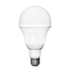 OBS - Ampoule LED 12/30 V Steca 12 W / 750958
